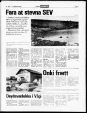 Síða 5