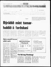 Síða 7