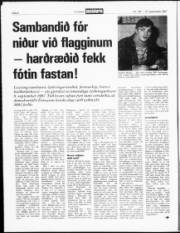 Síða 8