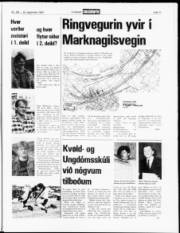 Síða 11