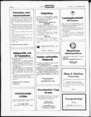 Síða 19