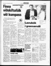 Síða 22