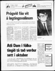 Síða 23