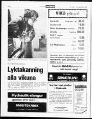 Síða 2