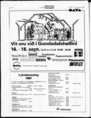 Síða 18
