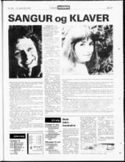 Síða 19