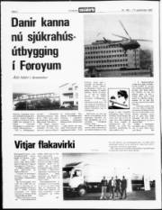 Síða 2