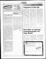 Síða 6