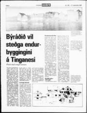 Síða 8