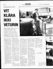 Síða 12