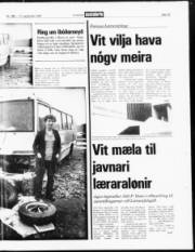 Síða 13