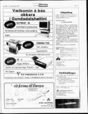 Síða 21
