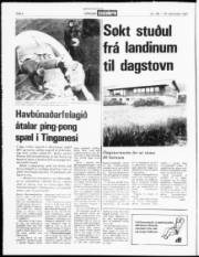 Síða 4