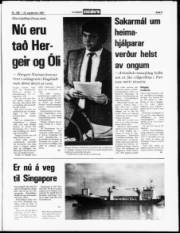Síða 5