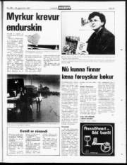 Síða 23
