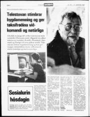 Síða 2