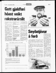 Síða 5