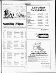 Síða 17