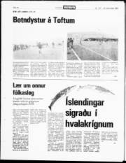 Síða 18