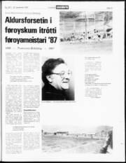 Síða 19