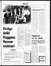 Síða 21