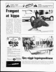 Síða 24