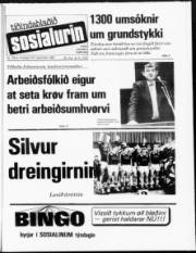 Síða 1