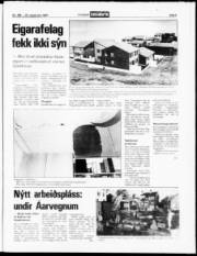 Síða 5