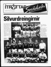 Síða 12