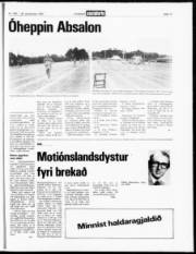 Síða 15