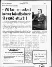 Síða 17