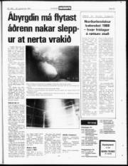 Síða 23