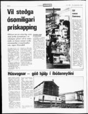Síða 2