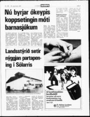 Síða 3