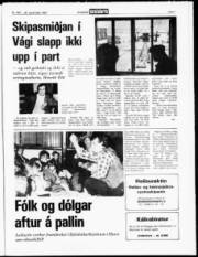 Síða 7