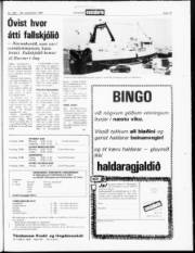 Síða 19