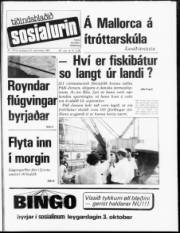Síða 1