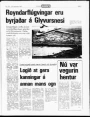 Síða 3