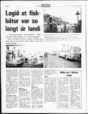 Síða 4