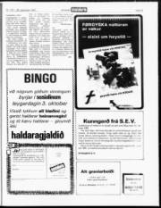 Síða 15