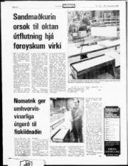 Síða 16