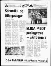 Síða 20