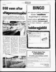 Síða 15