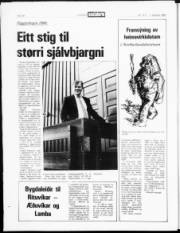 Síða 18