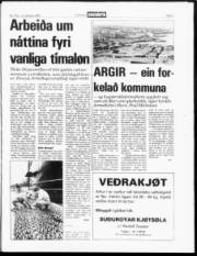 Síða 3
