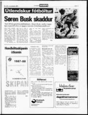 Síða 17