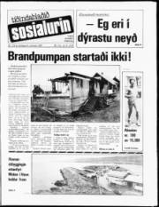 Síða 1