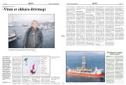 Síða 15