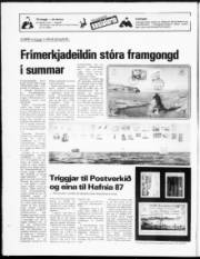 Síða 19