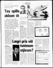 Síða 3